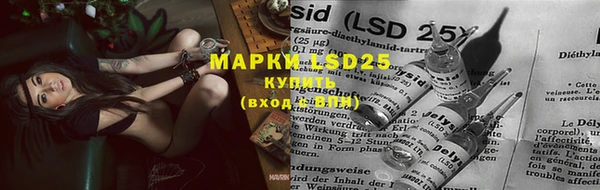 марки nbome Тайга