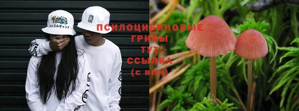 каннабис Вязники