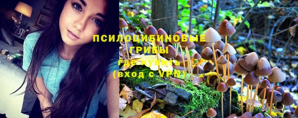 дмт Вяземский