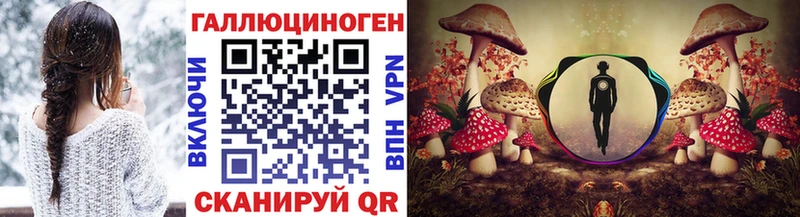 Псилоцибиновые грибы MAGIC MUSHROOMS  Каргат 